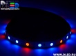   Светодиодная лента IP22 SMD 5050 (60 LED) 12V DC Красный + 2 Синий