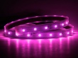   Влагозащищенная светодиодная лента в трубке SMD 3528 (60 LED) IP67 Пурпурный