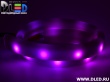   Ленточный светодиодный неон SMD3528 30Led 8 x 16 мм. Пурпурный