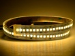  Влагозащищённая светодиодная лента в трубке SMD 3528 (240 LED) ip67 Белый + Теплый белый
