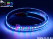   Влагозащищённая светодиодная лента в трубке SMD 2835 (240 LED) ip67 Красный + Зеленый + Синий