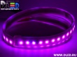   Влагозащищённая светодиодная матовая лента SMD 3528 (120 LED) ip67 Пурпурный
