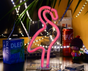   Настенный неоновый светильник "Фламинго" красный DLED